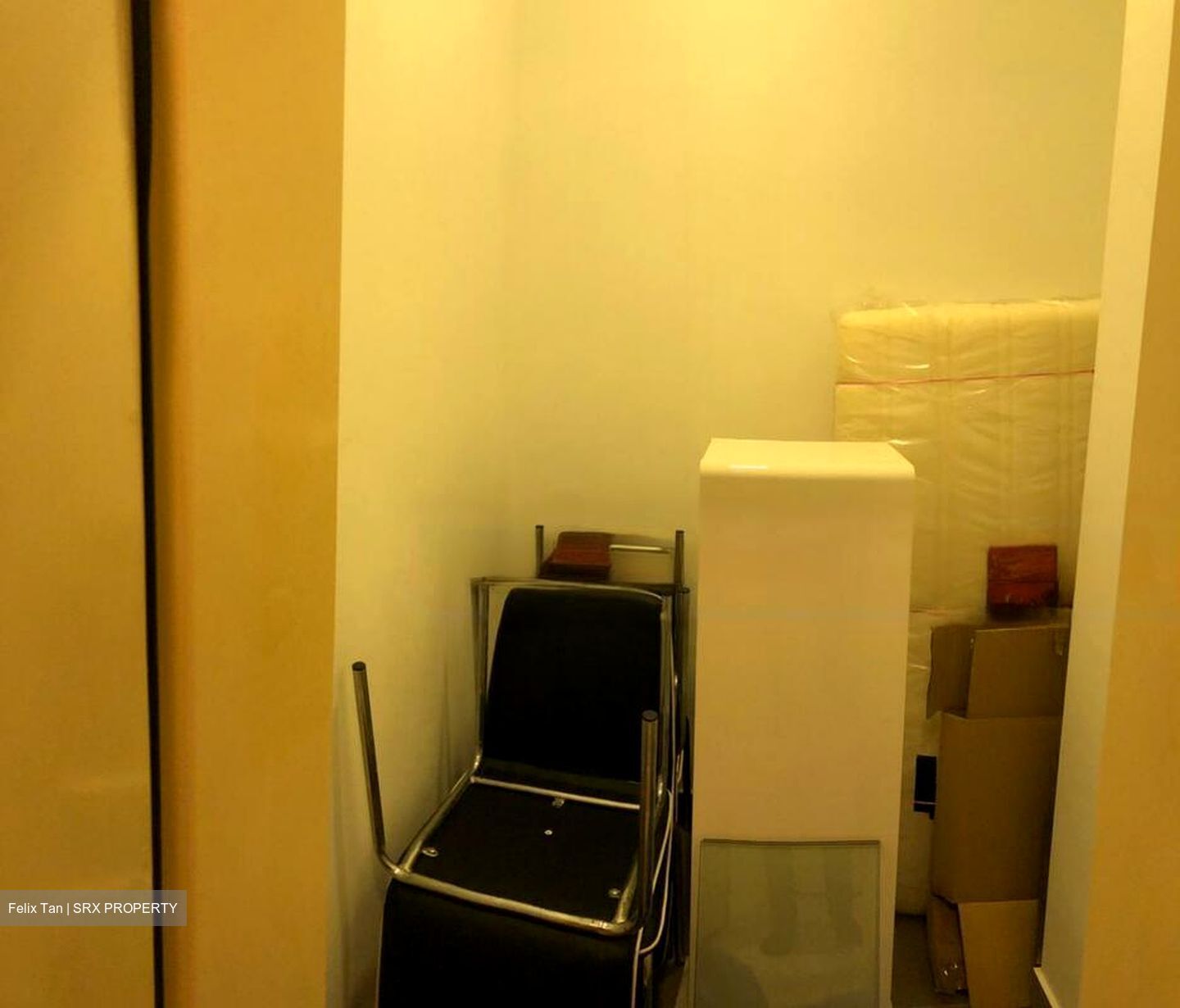 Starlight Suites (D9), Apartment #483331121